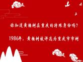 湖南美術(shù)出版社小學(xué)美術(shù)六年級(jí)上冊(cè)3《美麗家園——家鄉(xiāng)的黃桷樹(shù)課件PPT