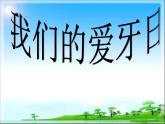 小学美术课件-第6课--我们的爱牙日-岭南版--(38张PPT)ppt课件