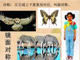 小學美術課件-第8課-對稱美秩序美-蘇少版-(22張PPT)ppt課件
