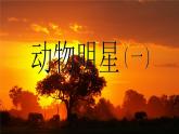 小學(xué)美術(shù)課件-第9課-動物明星-蘇少版-(26張PPT)ppt課件