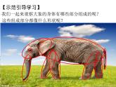 小學(xué)美術(shù)課件-第9課-動物明星-蘇少版-(10張PPT)-(2)ppt課件