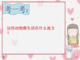 小學(xué)美術(shù)課件-第9課-動物明星-蘇少版-(37張PPT)-(1)ppt課件