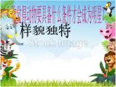 小學(xué)美術(shù)課件-第9課-動物明星-蘇少版-(28張PPT)ppt課件