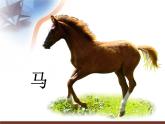 小學(xué)美術(shù)課件-第9課-動物明星-蘇少版-(25張PPT)ppt課件