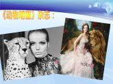 小學(xué)美術(shù)課件-第9課-動物明星-蘇少版-(10張PPT)ppt課件