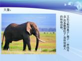 小學(xué)美術(shù)課件-第9課-動物明星-蘇少版-(10張PPT)ppt課件