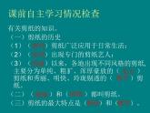 小學(xué)美術(shù)課件-第17課-剪紙-蘇少版-(25張PPT)ppt課件