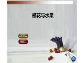 湘美版六年級(jí)下冊(cè)美術(shù)      5 瓶花與水果課件PPT