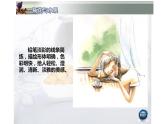 湘美版六年級(jí)下冊(cè)美術(shù)      5 瓶花與水果課件PPT