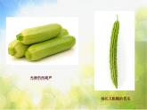 小學(xué)生美術(shù)課件-第七課--蔬果巧造形-冀美版(共19張PPT)-(1)ppt課件