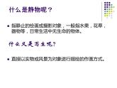人教版五年級下冊美術(shù)課件－5靜物寫生