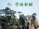 人教版五年級下冊美術(shù)課件－11學(xué)畫松樹