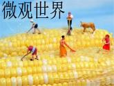 人教版五年級(jí)下冊(cè)美術(shù)課件－14微觀世界
