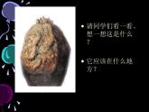 人美版美術(shù)五年級下冊《奇思妙想》課件