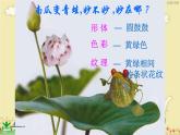 5.蔬果的聯(lián)想課件PPT