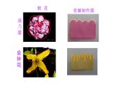 6.花團(tuán)錦簇課件PPT