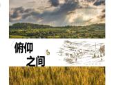 湘美版六年級(jí)下冊(cè)美術(shù)      2  俯仰之間課件PPT