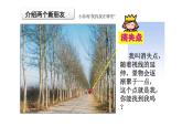 湘美版六年級(jí)下冊(cè)美術(shù)      2  俯仰之間課件PPT