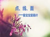 人教版二年級(jí)美術(shù)下冊(cè)課件-第3課　點(diǎn)、線、面