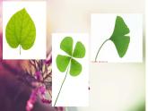 人教版二年級(jí)美術(shù)下冊(cè)課件-第3課　點(diǎn)、線、面
