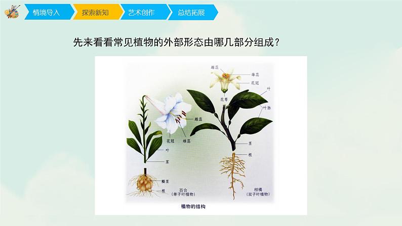 人教版一年级下册美术课件-11《太空里的植物》第4页