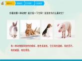 人教版一年级下册美术课件-14《可爱的动物》