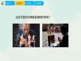 人教版一年级下册美术课件-14《可爱的动物》