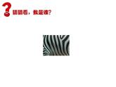 人教版三年級下冊美術(shù)課件-11.《動物的花衣裳》