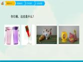 人教版四年級下冊美術(shù)課件-12平凡的美