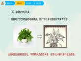 人教版四年級下冊美術(shù)課件-12平凡的美