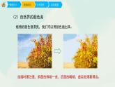 人教版四年級下冊美術(shù)課件-12平凡的美