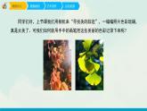 人教版六年级下册美术课件-3《记录色彩》