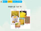 人教版四年級下冊美術(shù)課件-3《五谷作畫》(4份打包)