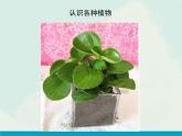 2.《放學(xué)了》（課件+教學(xué)設(shè)計(jì)+素材圖片）