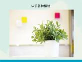 2.《放學(xué)了》（課件+教學(xué)設(shè)計(jì)+素材圖片）
