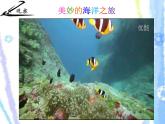 9.《用彩墨畫(huà)魚(yú)》（課件+教學(xué)設(shè)計(jì)+素材圖片）