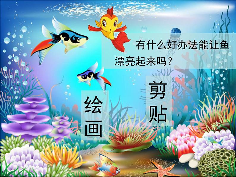 《钓鱼》课件第4页