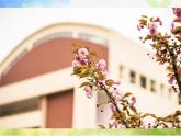 小學(xué) 美術(shù) 蘇少版 一年級(jí)下冊(cè) 6 春天的色彩6課件PPT