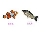 浙美版小学美术一年级下册   15.热带鱼乐园   课件