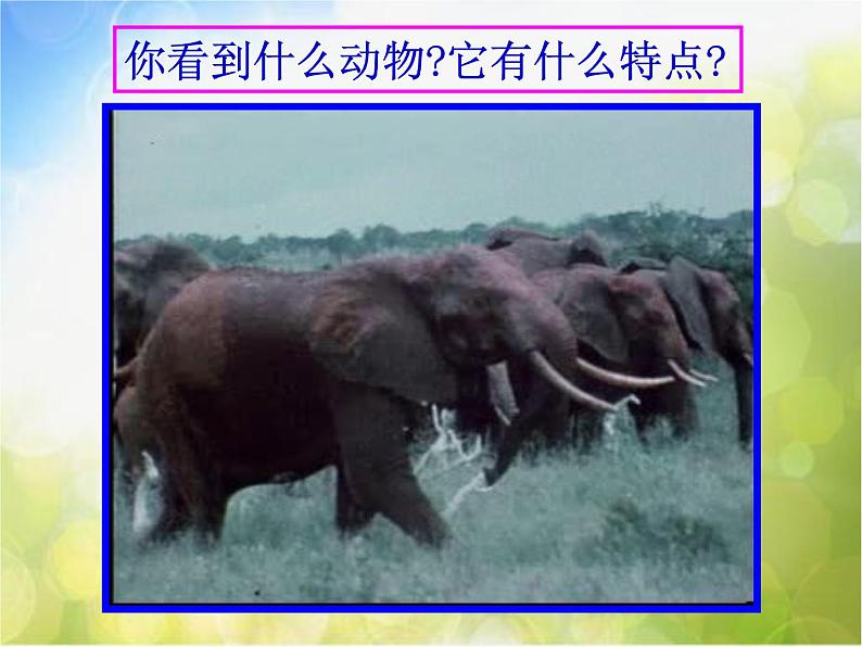 2022年小学美术1可爱的动物-(3)ppt课件04