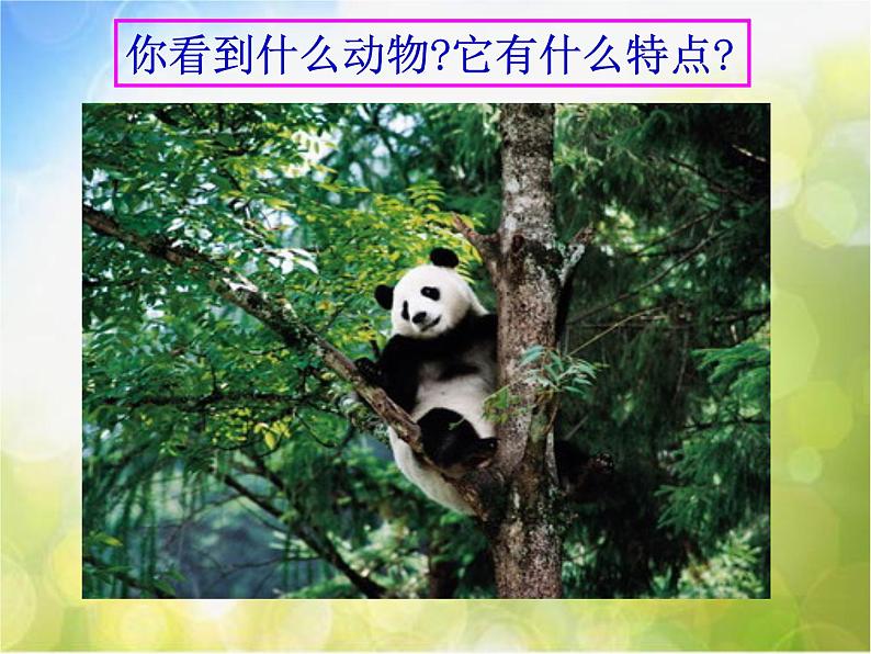 2022年小学美术1可爱的动物-(3)ppt课件06