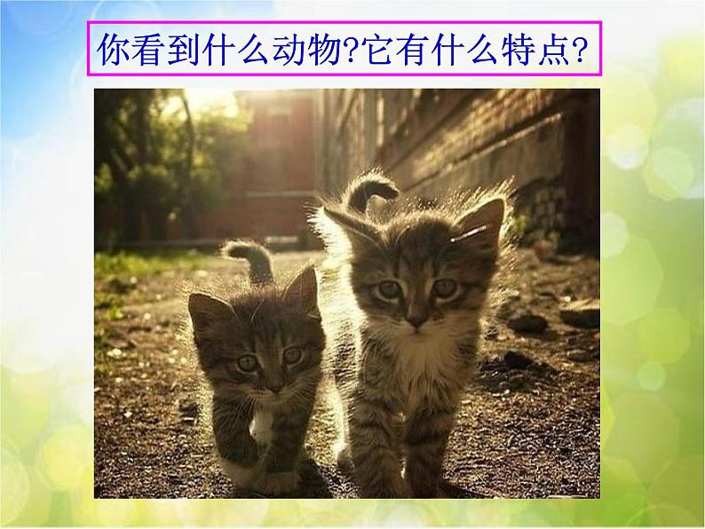 2022年小学美术1可爱的动物-(3)ppt课件08