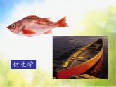 2022年小學(xué)美術(shù)1向動物朋友學(xué)習(xí)ppt課件
