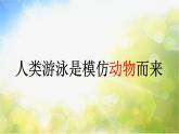 2022年小學(xué)美術(shù)課件-第6課-向動物朋友學(xué)習(xí)--蘇少版--(共22張PPT)