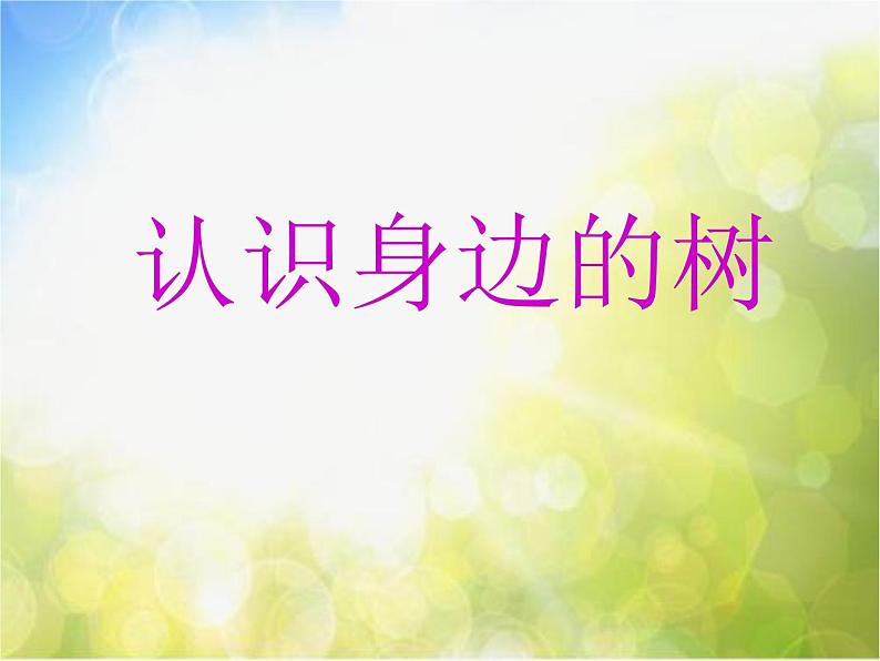 2022年小学美术课件-第3课-认识身边的树--人美版-(共59张PPT)ppt课件第1页