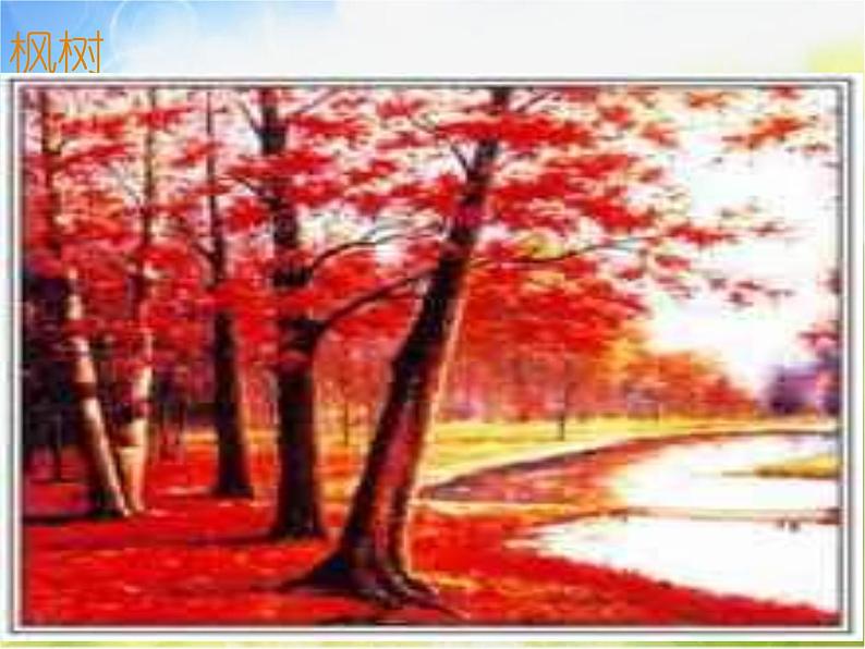 2022年小学美术课件-第3课-认识身边的树--人美版-(共59张PPT)ppt课件第3页