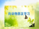2022年小學(xué)美術(shù)課件-第6課-向動物朋友學(xué)習(xí)--蘇少版--(共39張PPT)ppt課件