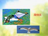 2022年小學(xué)美術(shù)課件-第6課-向動物朋友學(xué)習(xí)--蘇少版--(共39張PPT)ppt課件