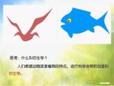 2022年小學(xué)美術(shù)課件-第6課-向動物朋友學(xué)習(xí)--蘇少版--(共39張PPT)ppt課件