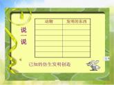 2022年小學(xué)美術(shù)課件-第6課-向動物朋友學(xué)習(xí)--蘇少版--(共39張PPT)ppt課件